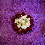 White Rabbit's *