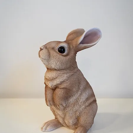 White Rabbit's *
