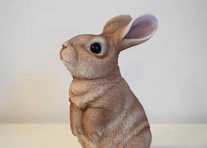 White Rabbit's *